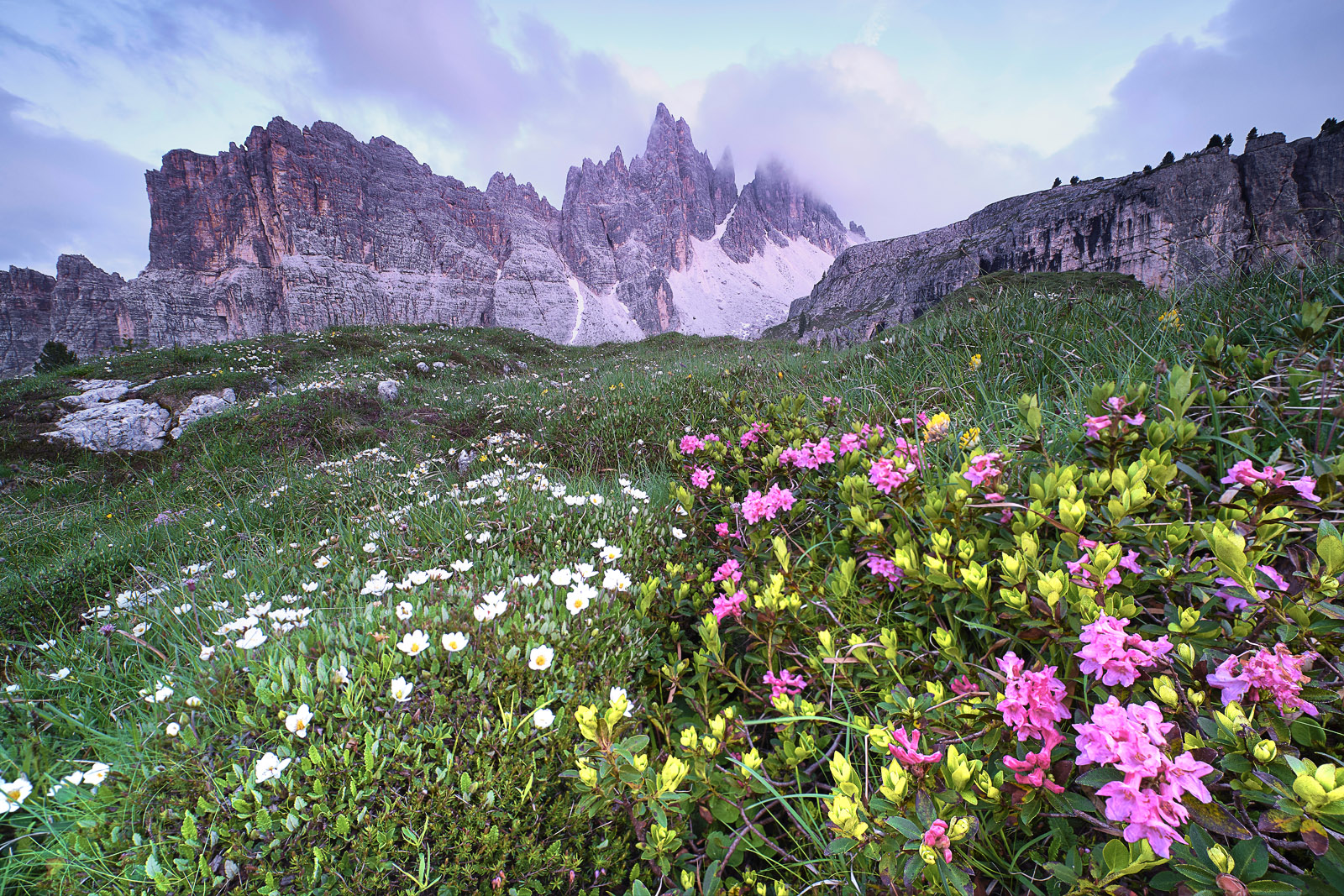 Bild Urlaub Südtirol  DSF2247